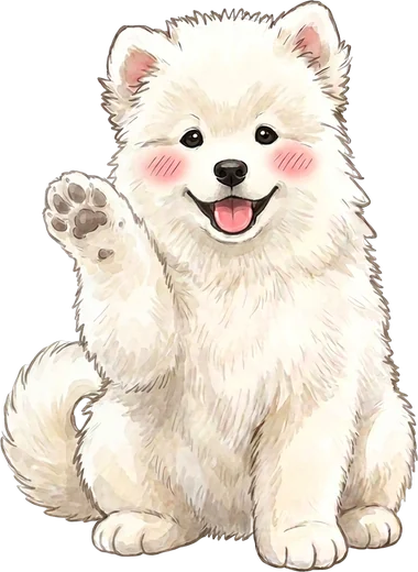 Misu the Samoyed puppy waving hello